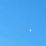 ヒメ日記 2024/12/10 21:06 投稿 心美 Arrest（アレスト）