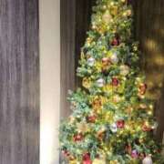 ヒメ日記 2024/12/22 18:15 投稿 心美 Arrest（アレスト）