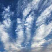 ヒメ日記 2025/01/18 21:14 投稿 心美 Arrest（アレスト）