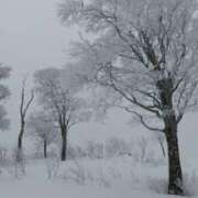 ヒメ日記 2025/02/16 19:51 投稿 心美 Arrest（アレスト）