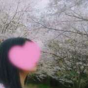 ヒメ日記 2025/04/10 21:55 投稿 心美 Arrest（アレスト）