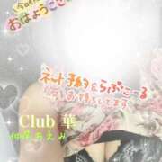 ヒメ日記 2024/11/20 06:42 投稿 仲尾 ちえみ 華～club HANA～