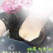 ヒメ日記 2024/12/26 09:51 投稿 仲尾 ちえみ HANA-okinawa-