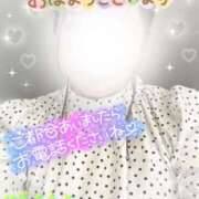 ヒメ日記 2025/01/10 07:51 投稿 仲尾 ちえみ HANA-okinawa-