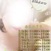 ヒメ日記 2025/02/04 08:45 投稿 仲尾 ちえみ HANA-okinawa-