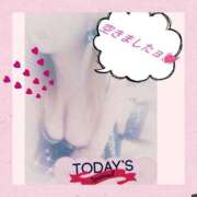 ヒメ日記 2025/12/08 02:47 投稿 なな 熟女の風俗最終章 新潟店