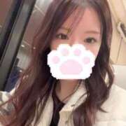 ヒメ日記 2026/04/09 16:51 投稿 芦田　みさき スタイリッシュ秘書