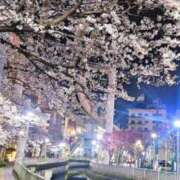 ヒメ日記 2025/04/05 10:24 投稿 Ayame THE RICH