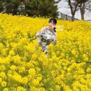 ヒメ日記 2026/04/09 11:24 投稿 Ayame THE RICH