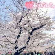 ヒメ日記 2025/04/04 19:44 投稿 ゆま Hip's千葉駅前店