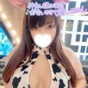 ヒメ日記 2026/01/15 22:02 投稿 ゆま Hip's千葉駅前店