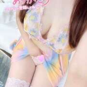 ヒメ日記 2026/02/17 17:05 投稿 ゆま Hip's千葉駅前店