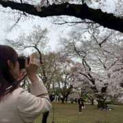 ヒメ日記 2025/03/31 21:59 投稿 Maomi LUXURY（ラグジュアリー）