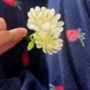 ヒメ日記 2024/12/22 17:56 投稿 まお 埼玉熊谷ちゃんこ