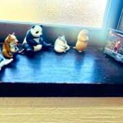 ヒメ日記 2025/03/26 13:56 投稿 まお 埼玉熊谷ちゃんこ