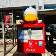 ヒメ日記 2025/03/30 00:36 投稿 まお 埼玉熊谷ちゃんこ