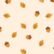 ヒメ日記 2025/04/04 13:16 投稿 まお 埼玉熊谷ちゃんこ