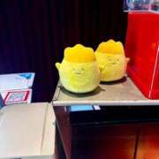 ヒメ日記 2025/04/26 09:26 投稿 まお 埼玉熊谷ちゃんこ