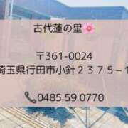 ヒメ日記 2025/07/30 13:46 投稿 まお 埼玉熊谷ちゃんこ