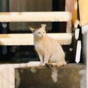 ヒメ日記 2025/11/12 10:46 投稿 まお 埼玉熊谷ちゃんこ