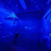 ヒメ日記 2026/02/03 15:46 投稿 まお 埼玉熊谷ちゃんこ