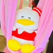 ヒメ日記 2026/02/09 12:06 投稿 まお 埼玉熊谷ちゃんこ