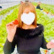 ヒメ日記 2026/02/19 10:46 投稿 まお 埼玉熊谷ちゃんこ