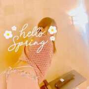 ヒメ日記 2026/03/03 10:40 投稿 まお 埼玉熊谷ちゃんこ