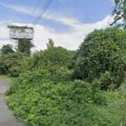 ヒメ日記 2026/03/18 13:56 投稿 まお 埼玉熊谷ちゃんこ