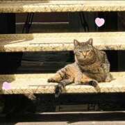 ヒメ日記 2026/04/03 22:36 投稿 まお 埼玉熊谷ちゃんこ