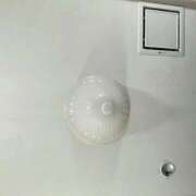 ヒメ日記 2026/04/06 19:06 投稿 まお 埼玉熊谷ちゃんこ