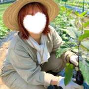 ヒメ日記 2026/06/25 06:16 投稿 まお 埼玉熊谷ちゃんこ