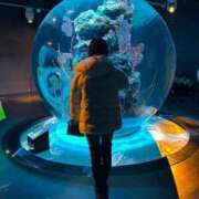 ヒメ日記 2025/03/17 13:58 投稿 あむ ドンファン