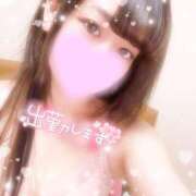 ヒメ日記 2026/01/29 12:04 投稿 あむ ドンファン