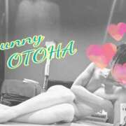 ヒメ日記 2025/03/04 13:46 投稿 オトハ　【絶対的女帝】 ドMなバニーちゃん和歌山店