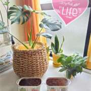 ヒメ日記 2025/06/25 15:54 投稿 オトハ　【絶対的女帝】 ドMなバニーちゃん和歌山店