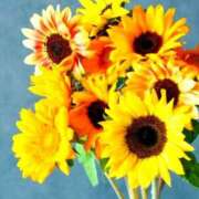 オトハ　【絶対的女帝】 夏の困り事...(；；) ドMなバニーちゃん和歌山店