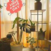 オトハ　【絶対的女帝】 珍しい日記 ☆ 長いよ！！ ドMなバニーちゃん和歌山店