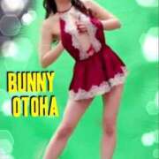 ヒメ日記 2025/11/25 14:14 投稿 オトハ　【絶対的女帝】 ドMなバニーちゃん和歌山店