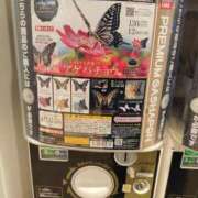 ヒメ日記 2024/12/13 13:16 投稿 サリナ　【奇跡の国宝級№1】 ドMなバニーちゃん和歌山店