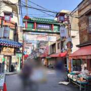 ヒメ日記 2025/03/05 07:51 投稿 サリナ　【奇跡の国宝級№1】 ドMなバニーちゃん和歌山店