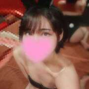 ヒメ日記 2025/04/23 08:31 投稿 サリナ　【奇跡の国宝級№1】 ドMなバニーちゃん和歌山店