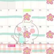 ヒメ日記 2025/07/09 13:29 投稿 サリナ　【奇跡の国宝級№1】 ドMなバニーちゃん和歌山店