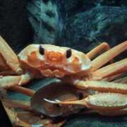 ヒメ日記 2025/07/19 07:04 投稿 サリナ　【奇跡の国宝級№1】 ドMなバニーちゃん和歌山店