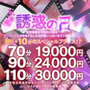 ヒメ日記 2024/02/27 04:30 投稿 アカネ　【エロポテンシャルは∞】 ドMなバニーちゃん和歌山店