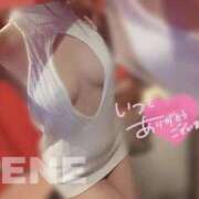 ヒメ日記 2026/02/11 15:54 投稿 ネネ　【驚愕の美ボディー】 ドMなバニーちゃん和歌山店