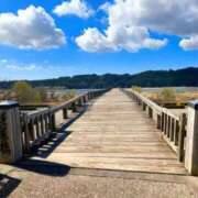 ヒメ日記 2026/03/21 16:16 投稿 ネネ　【驚愕の美ボディー】 ドMなバニーちゃん和歌山店