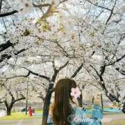 ヒメ日記 2026/04/11 10:44 投稿 ネネ　【驚愕の美ボディー】 ドMなバニーちゃん和歌山店