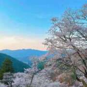 ヒメ日記 2026/04/11 19:24 投稿 ネネ　【驚愕の美ボディー】 ドMなバニーちゃん和歌山店