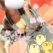 ヒメ日記 2026/02/09 09:27 投稿 メグミ　【艶やかなお姉さんバニー】 ドMなバニーちゃん和歌山店